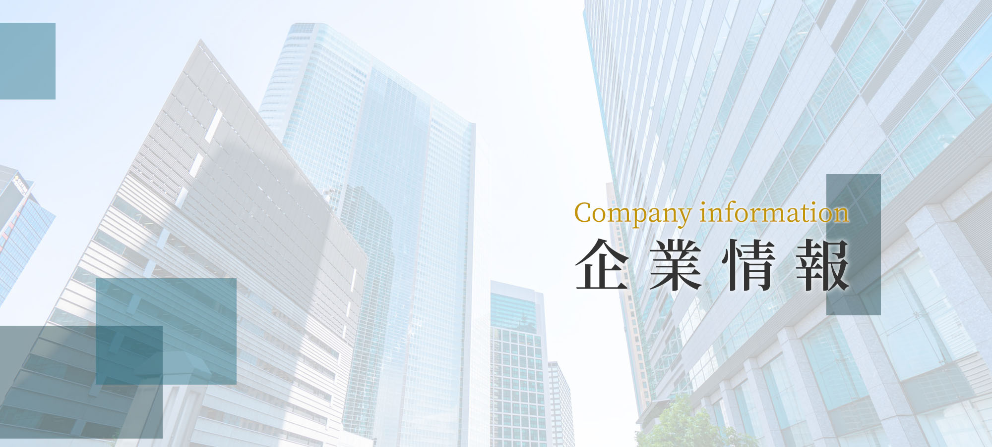 Company information 企業情報