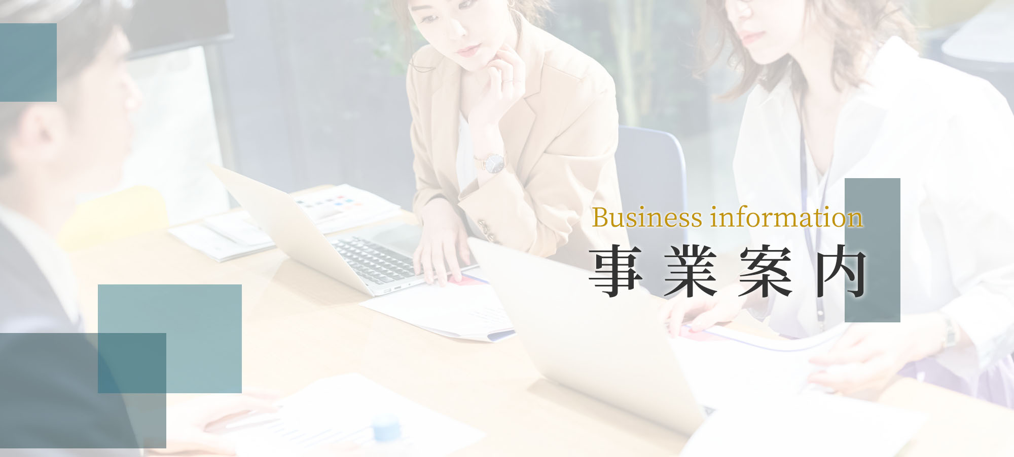 Business information 事業案内